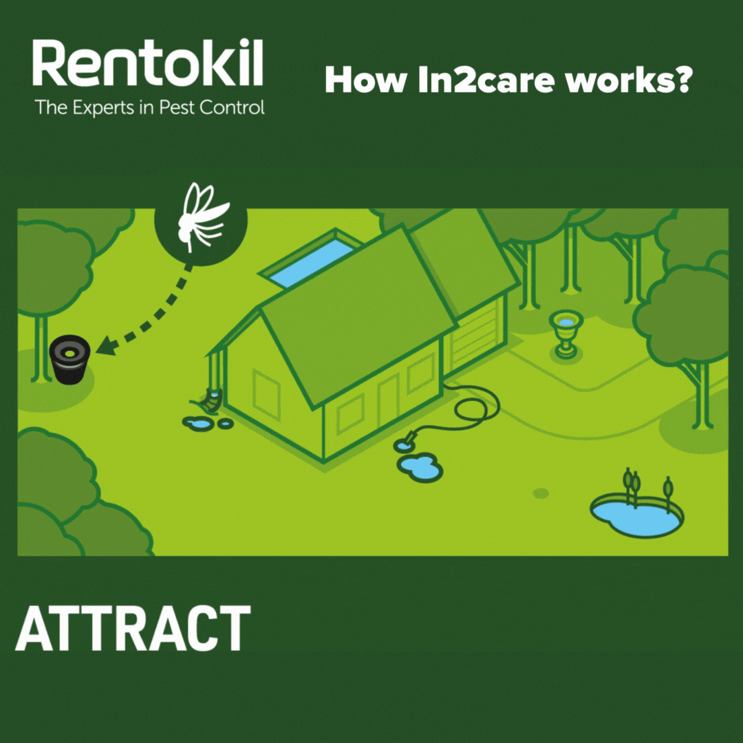 Rentokil Mosquito Control l In2care Traps